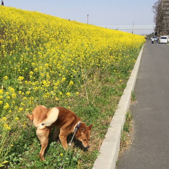 9a562467 3468 481f a9f2 815aa8d27cb7 1584882377898