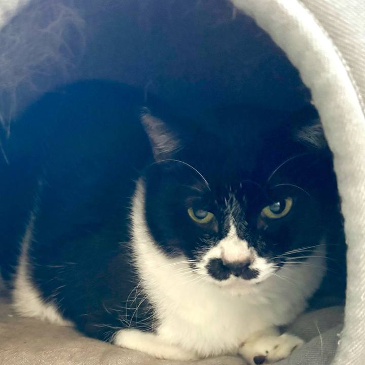 9a562e5b ab60 4b39 8184 f517a13db099 1732579639692