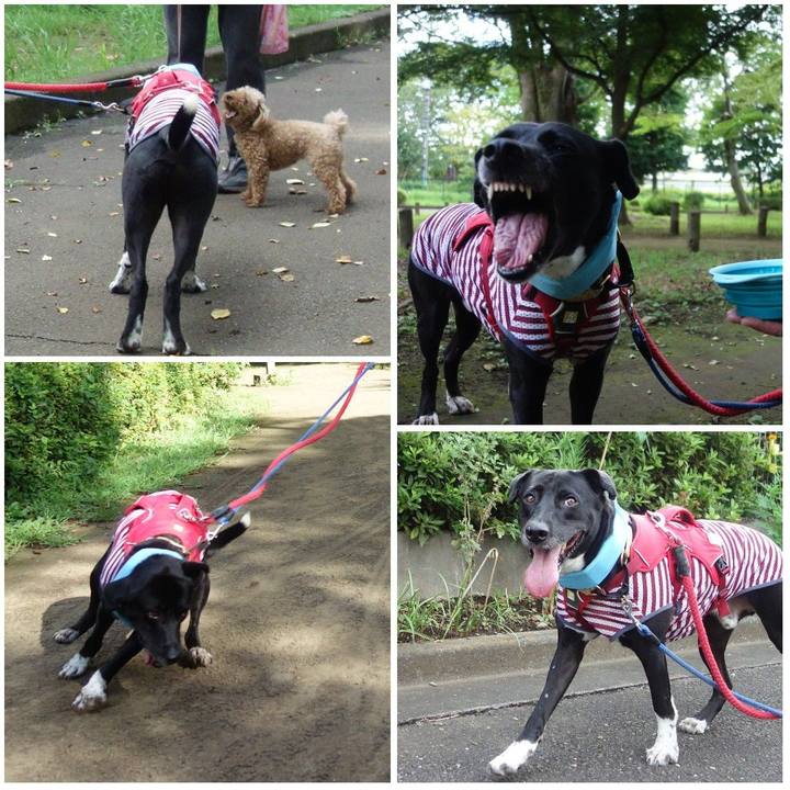 9a564989 1933 4995 8c1b 0a48a11743e3 1628293643095