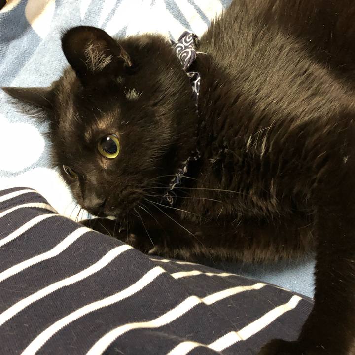 9a566f65 c773 4960 9233 105994a9ad66 1581079821890