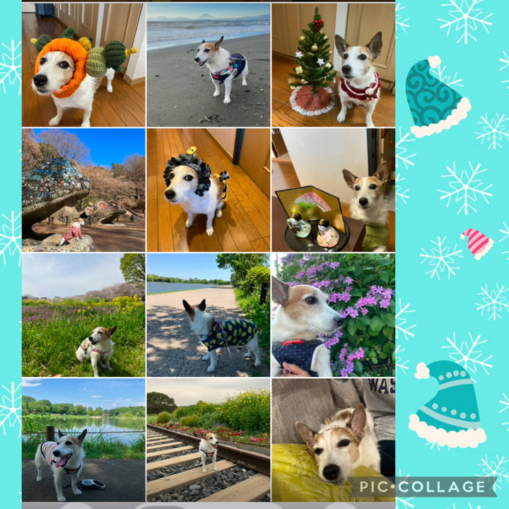 9a567d80 a6d7 4898 b557 7dede349fe3f 1734140431852