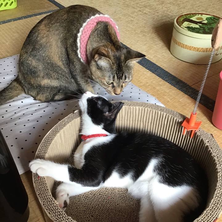 9a56b5b3 3829 4440 b222 df97067d5192 1627604214333