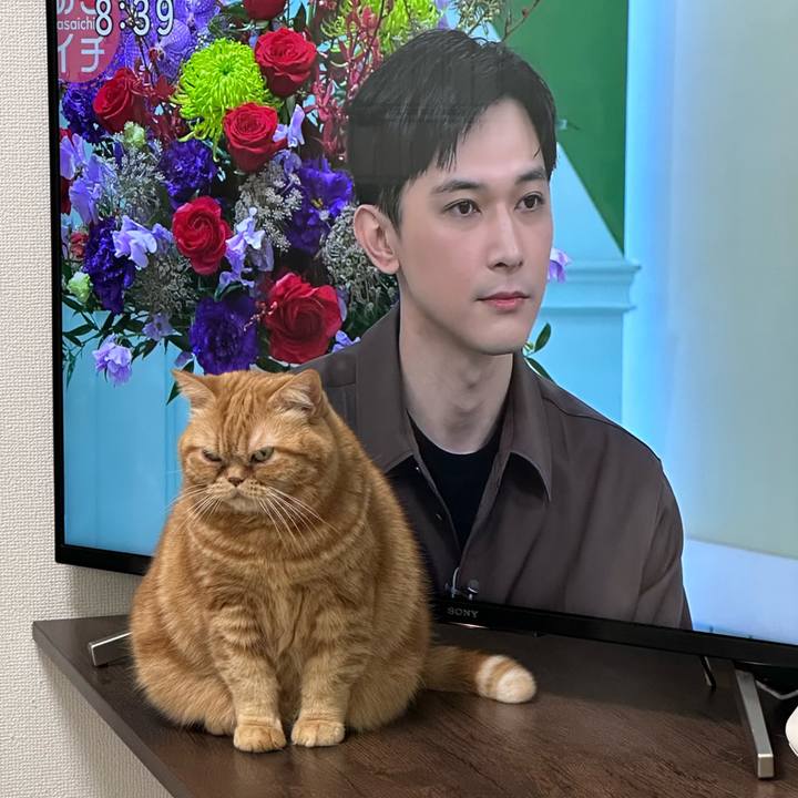 9a56cffc c176 4eca 9f9a b2ce8015436f 1774395826505