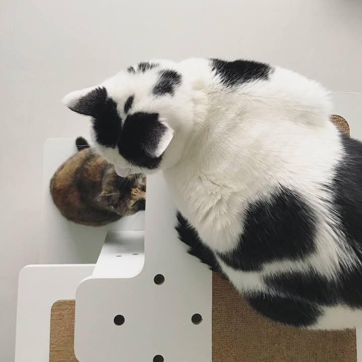 9a56e923 8720 424f a521 b9e34c32c7ca 1511181766098