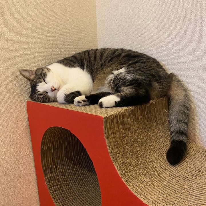 9a56f04d c1fd 40f6 b168 137a03f8a081 1692137382437