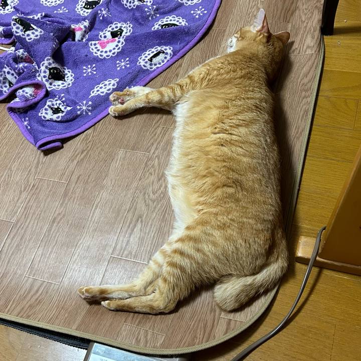 9a56feda a42b 4b7d 8629 eb1a714e2255 1685015944536