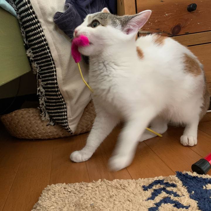 9a571065 2f9d 45de ab91 51e9ff762ff1 1598928502899