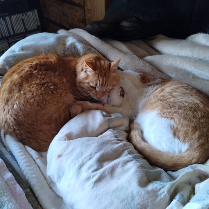 9a572db3 57cd 46d5 95bb fd018f1da4d8 1747101534323