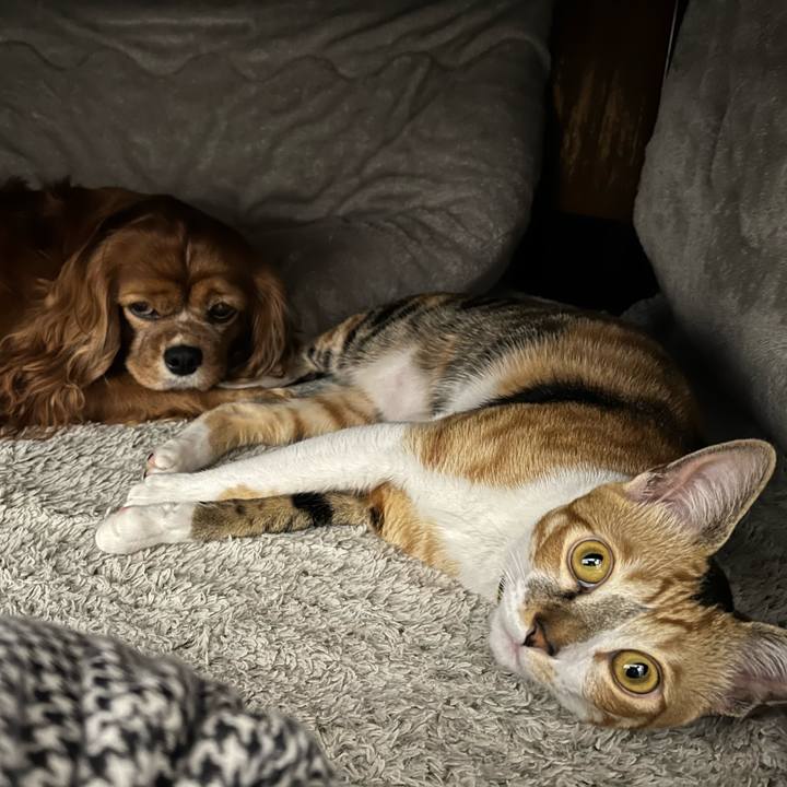 9a574bcf 3f91 418d 9fd4 7a9bf40b3ebd 1669460446679