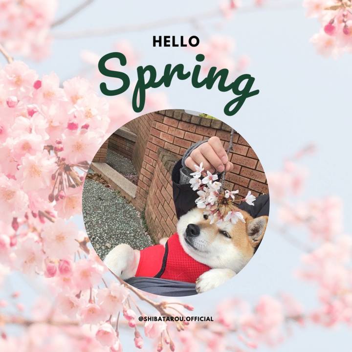 9a5780f5 c9ce 48a8 a6ca e5da74999aef 1646095558941