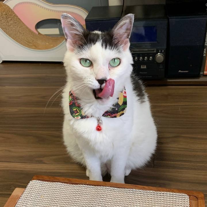 9a57abcd a0f1 40ad 9bfc 2f841ef5600c 1658266805286