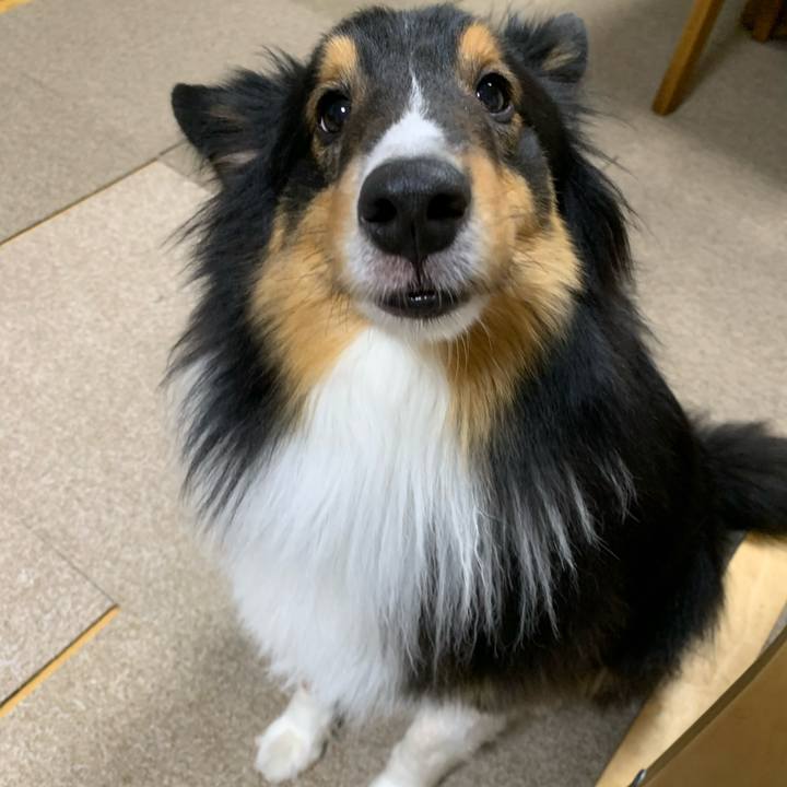 9a57ffeb 3143 433b 9ec3 80940aec290e 1586382968885