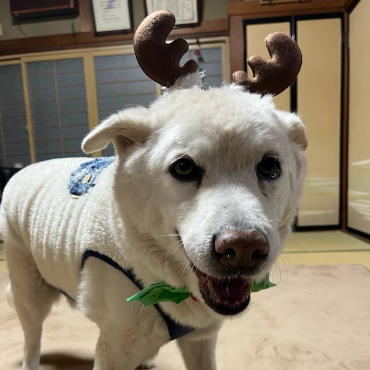 9a5818d3 3f3f 4d00 8b5d bc7e1b5ac21a 1766618483683