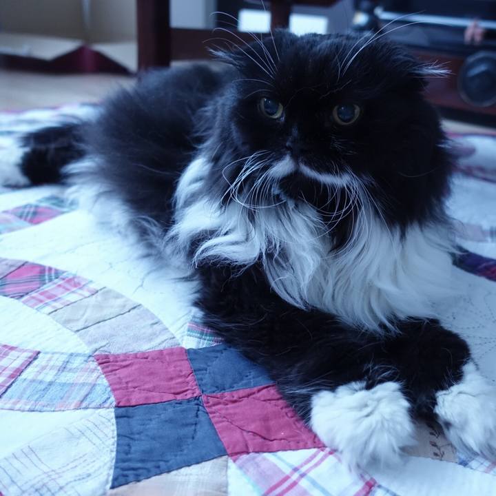 9a5829e0 16b2 4430 905a 68d6ad33ca43 1522083055805