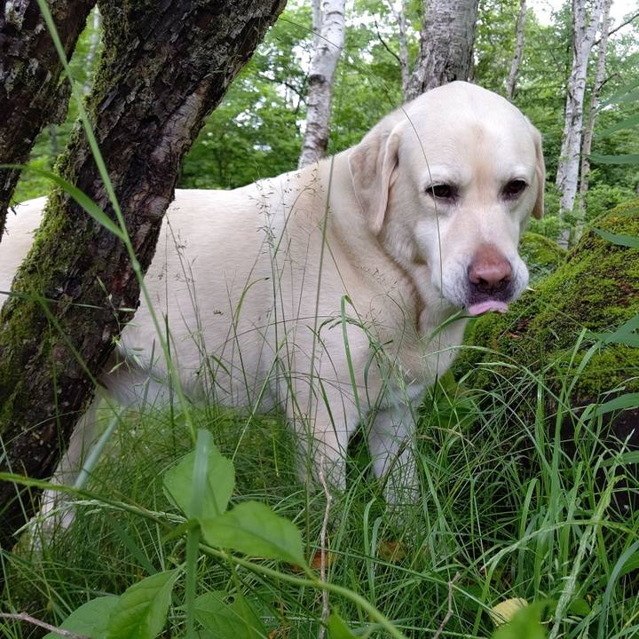 9a582ca7 b574 470c ae08 6c510c24879e 1688891245410