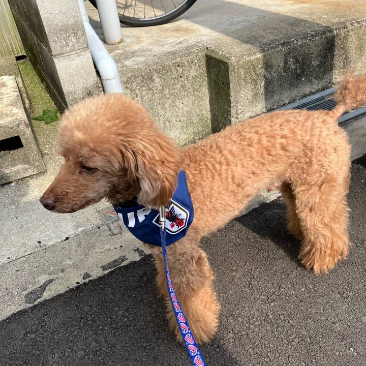 9a58569f 2460 4d76 831a 679b074e56f5 1655001733024