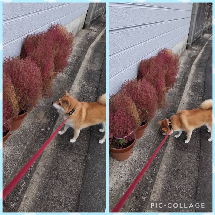 9a58a088 6e03 4127 adf1 66f4fcd4732b 1760566544592