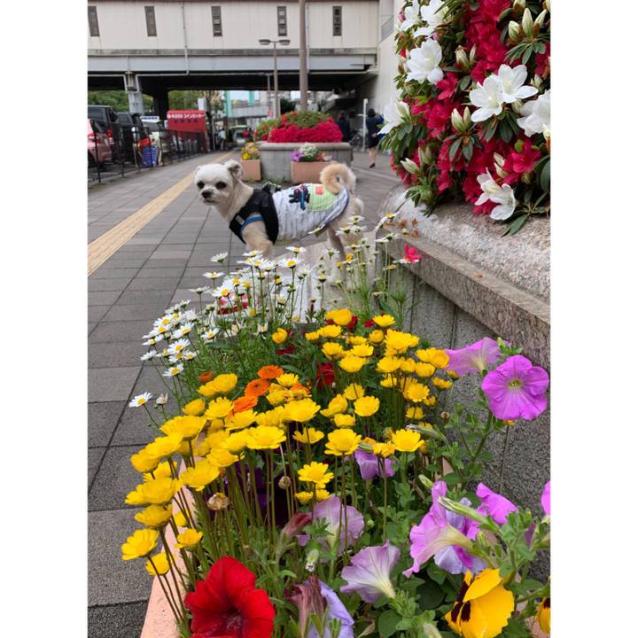 9a58b2bb 214c 4570 bf5f 2706b21d10db 1556190077038