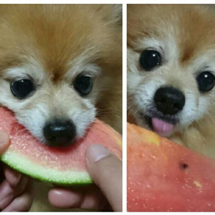 9a58bef1 d29e 475e b0f7 51891ef6f590 1752011574378