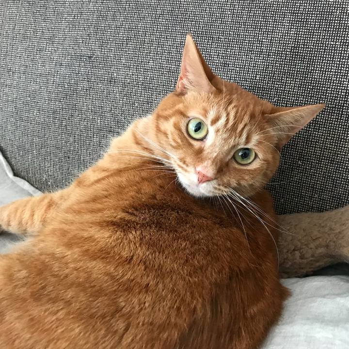 9a58eb80 f4b0 400e 9d27 7131929fe9c9 1521093390411