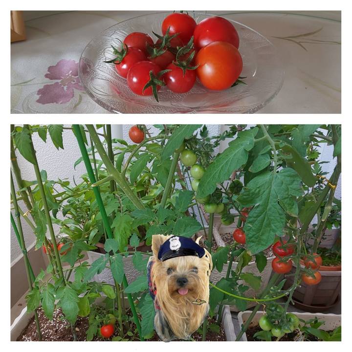 9a590470 c5a2 4ce0 82fa 755fc0a23352 1656044159955