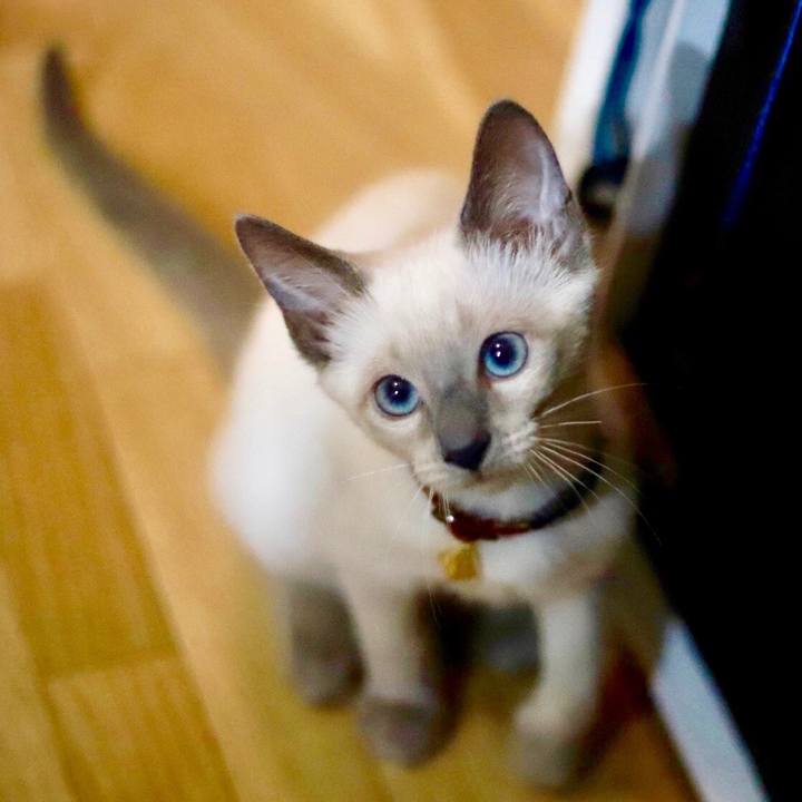 9a590488 a452 4382 9b03 aee1ecfcf4c1 1572279826593