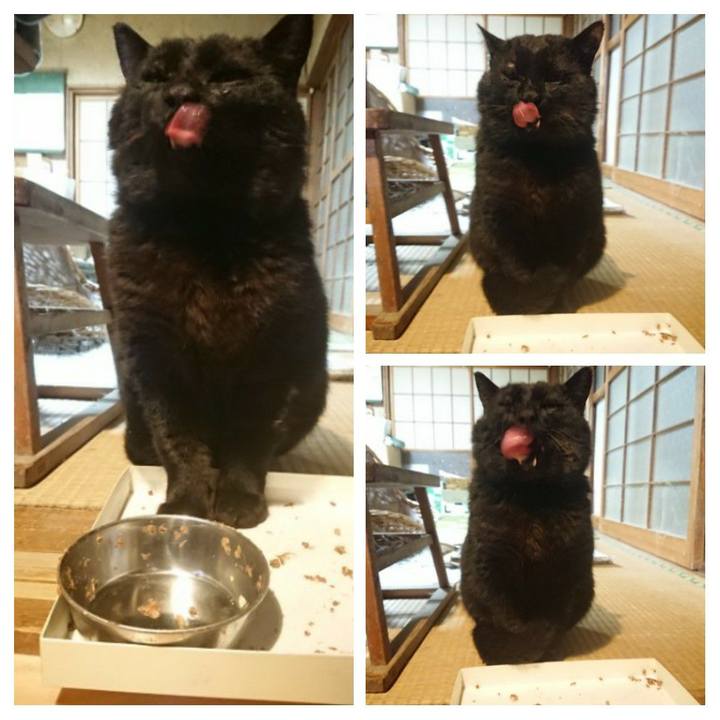 9a595e5e 7ce7 4247 a025 96fe22e46d98 1618062099830