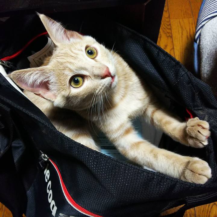 9a59cd07 85a7 415d aa7d 0486c1f31113 1543751412681