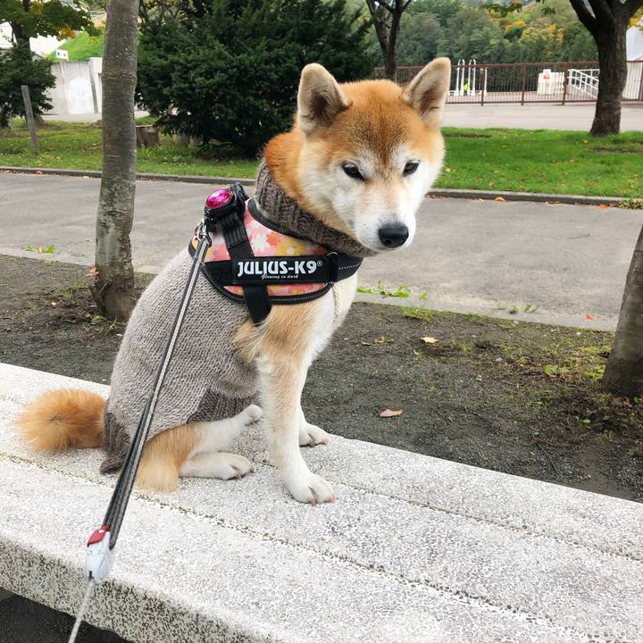 9a5a08ac a19b 4b81 b453 f8d952b29b77 1571186858298