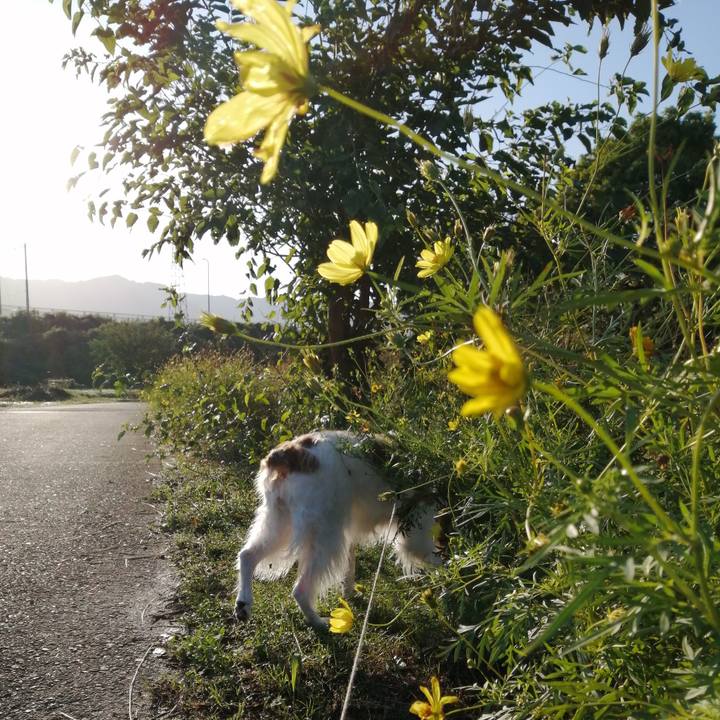 9a5a099a 54de 4642 b1a0 7b6993830b9f 1602459989200