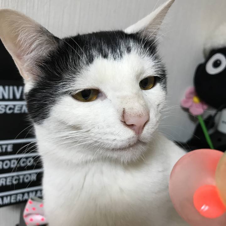 9a5a0a9a a909 4db5 a6cc 6dd4b5980584 1518958943766