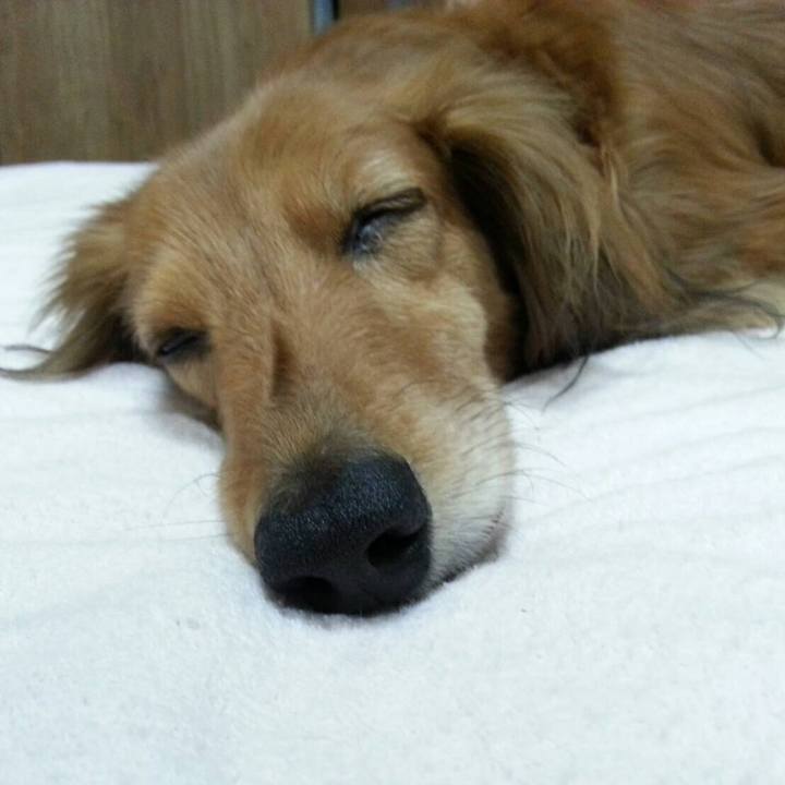 9a5a1002 8786 455a 985c dd7034371fc6 1560489761759