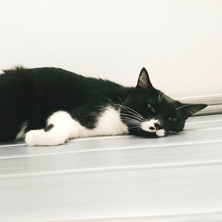 9a5a2d93 fb2f 40c4 888f 2cbcd8955f5b 1527605200428