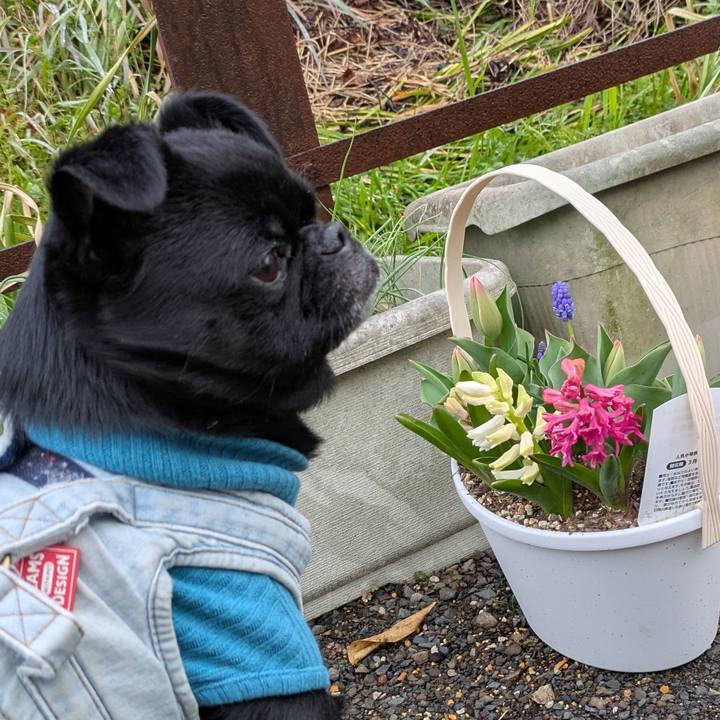 9a5a5475 3564 41c8 8fad 58fe3fc8f2f9 1773407810555