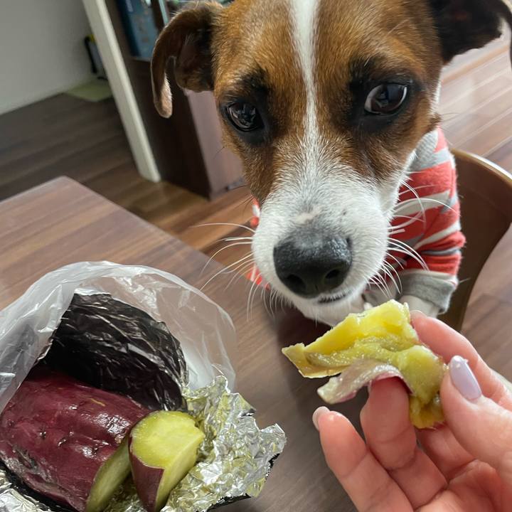 9a5a73e2 0cc9 47f6 8223 a4f7e4e884e4 1647828450605