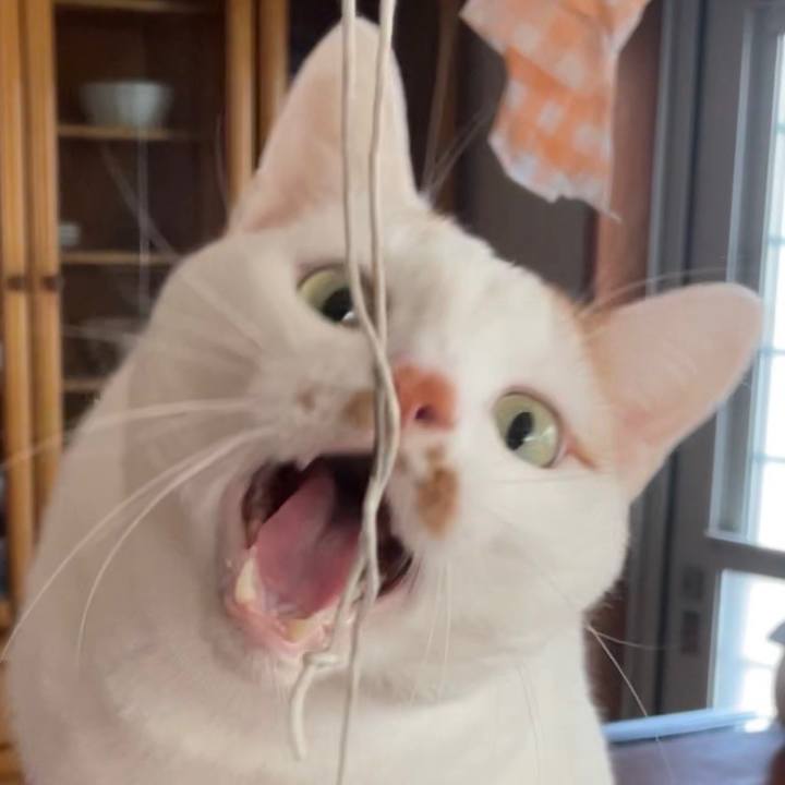 9a5a90f1 41c7 462d abe7 2cf9ab2cdd73 1644387065763