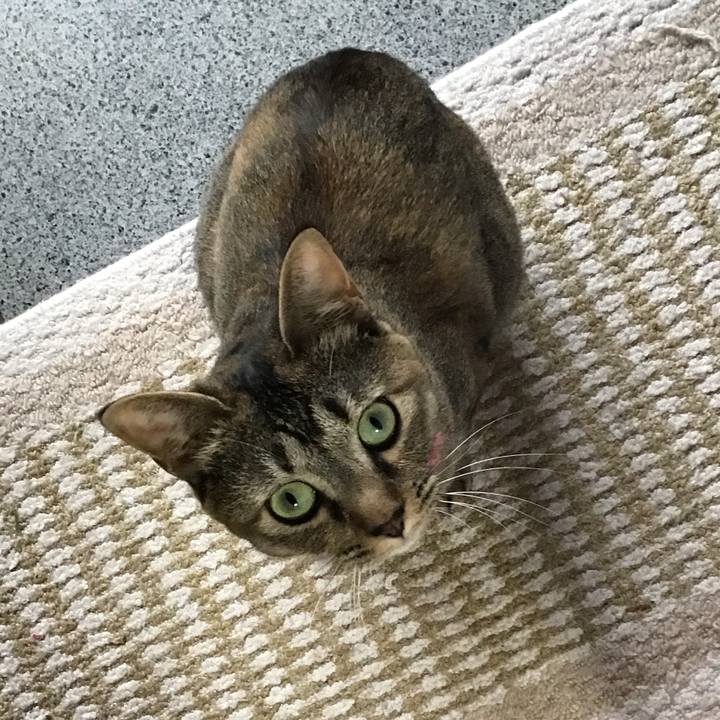 9a5ac5ba 4a25 4896 8f68 5dd186e72f03 1595231771914