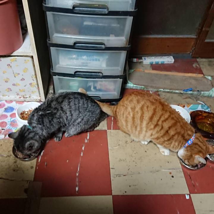 9a5ad64b 9243 4cf3 8db0 a1e54c967969 1576619240427