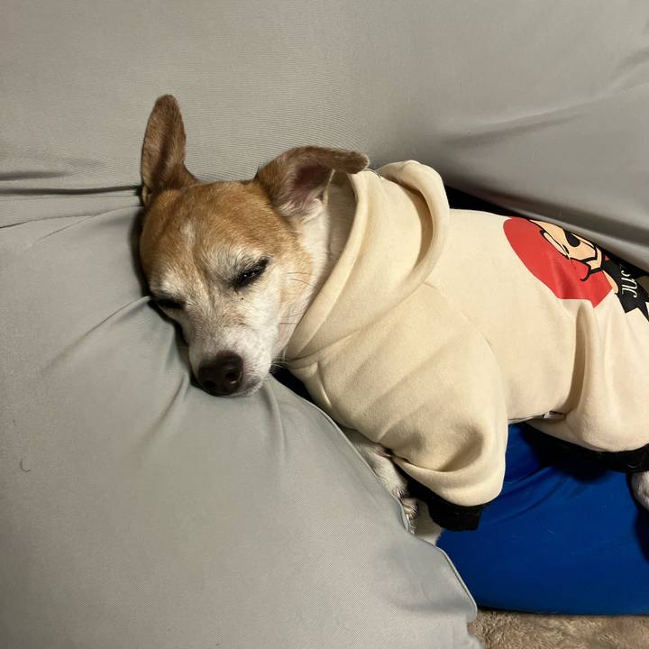 9a5af092 eb0f 4a84 96fa a3eb4b6a889a 1770026980202