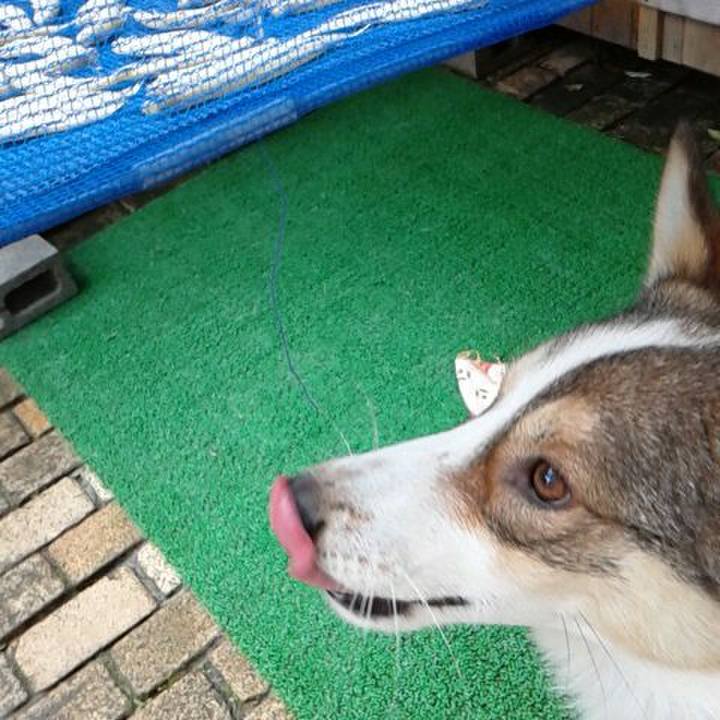 9a5af8ee b269 43d5 8760 fa88c830b8a5 1509697336013