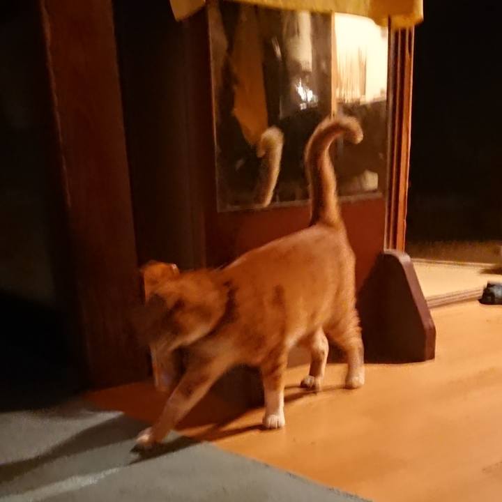 9a5b97b6 3151 4e77 a9d9 8dcf41ae0400 1570612303832