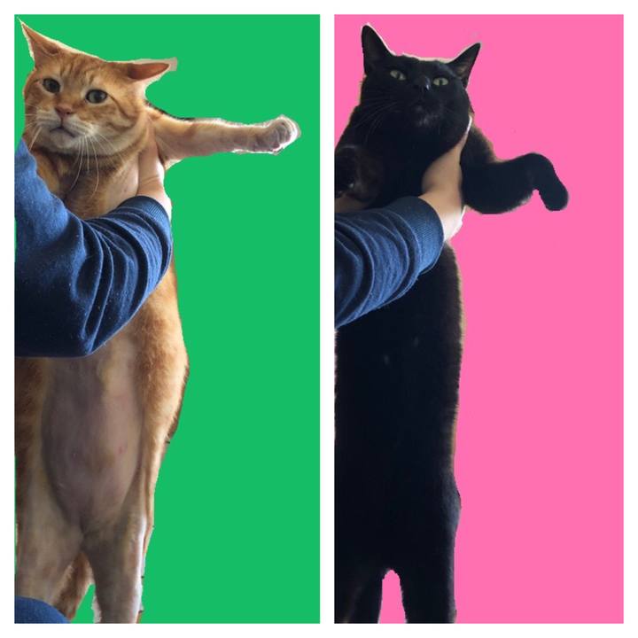 9a5ba280 871c 439d 9970 589ec18decb6 1718422947594