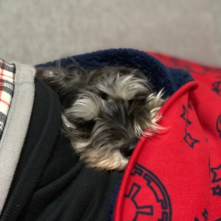 9a5bbd57 4a49 468c 8fbd 35058428d05b 1575462834116