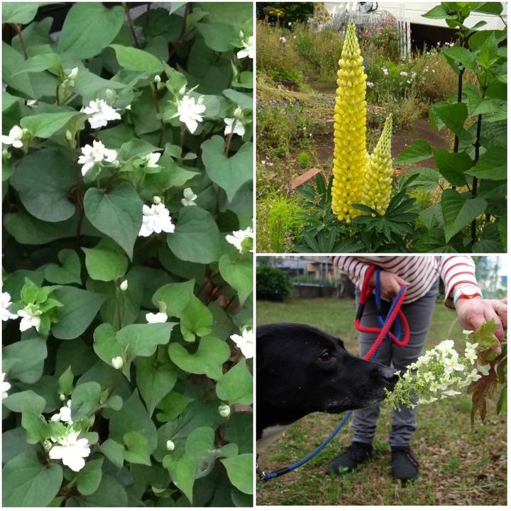 9a5bc9dd 988d 4339 9c77 6bae54e29c4c 1621246136412