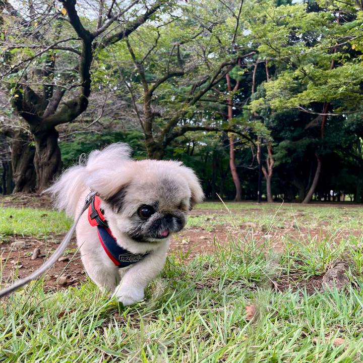 9a5c2c99 7324 4e0a 83fc 9a395e3b762a 1757372161490