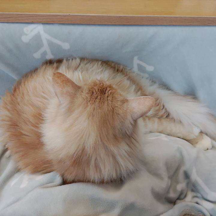 9a5c2fbc a509 464c a238 b67eb478902e 1674702699121