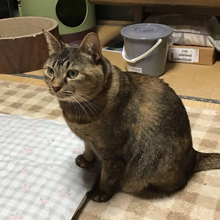 9a5c3deb 5db0 4f5b 9ab7 04ba652ecd38 1731228807944