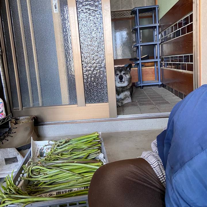 9a5c5d78 3edb 4b13 8b06 a84ff490c644 1714186449469