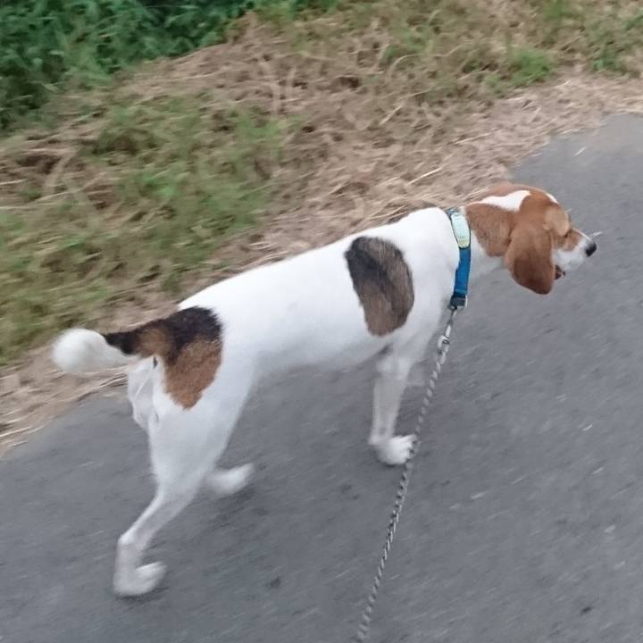 9a5c6fde 7f77 4c28 b113 8b2ba306dc27 1569056150049