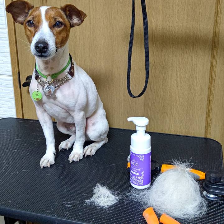 9a5cba4f 7c49 4ffa 9a8e 58ad0e7431d6 1644734407576